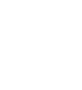 plane-icon-airlines